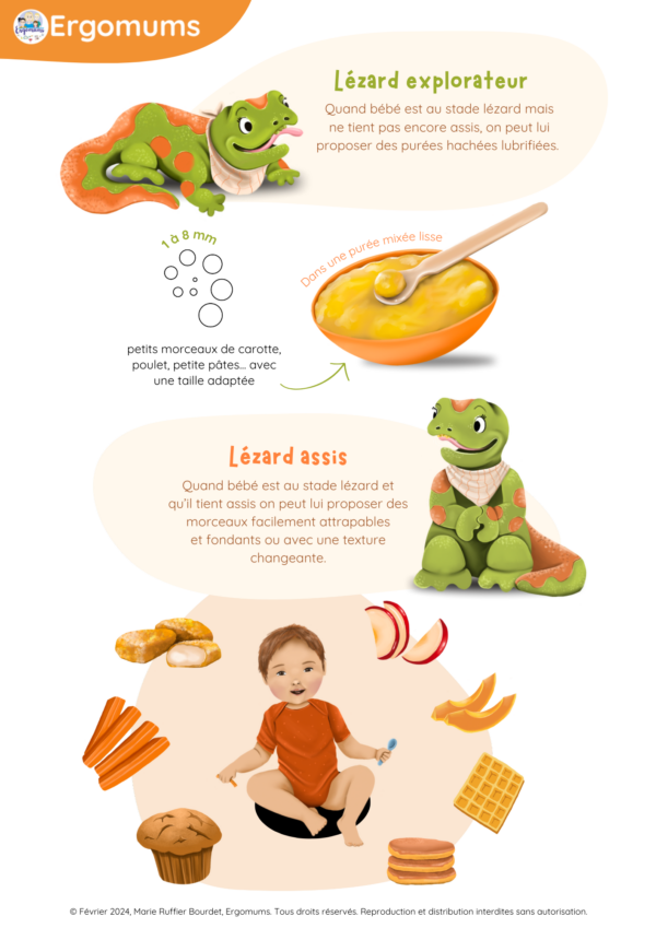 Pack Spécial 1 an – Diversification alimentaire complète – Image 18