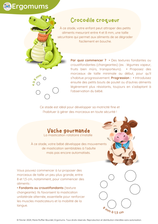 Pack Spécial 1 an – Diversification alimentaire complète – Image 19