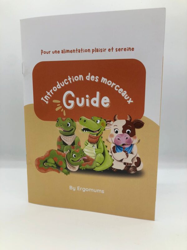 Guide pour l'introduction des morceaux – Image 3