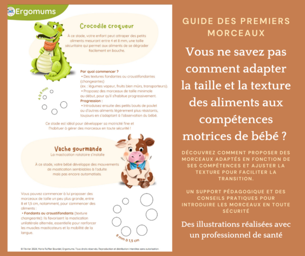 Pack Spécial 1 an – Diversification alimentaire complète – Image 17