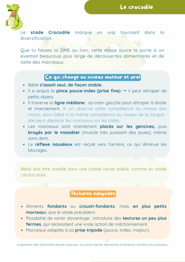 Le guide illustré de la méthode P.E.A.S.I - La diversification sereine et personnalisée pour bébé – Image 12