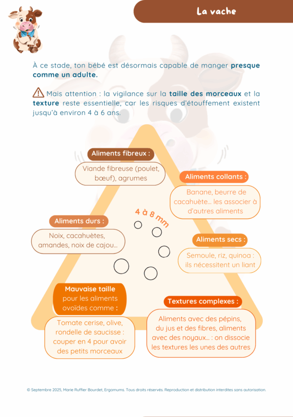 Le guide illustré de la méthode P.E.A.S.I - La diversification sereine et personnalisée pour bébé – Image 13