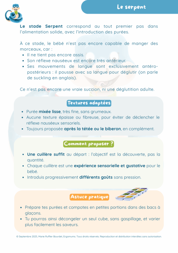 Le guide illustré de la méthode P.E.A.S.I - La diversification sereine et personnalisée pour bébé – Image 5