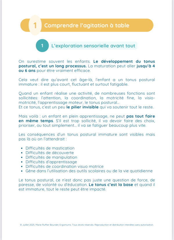 Outil VIP – Image 4