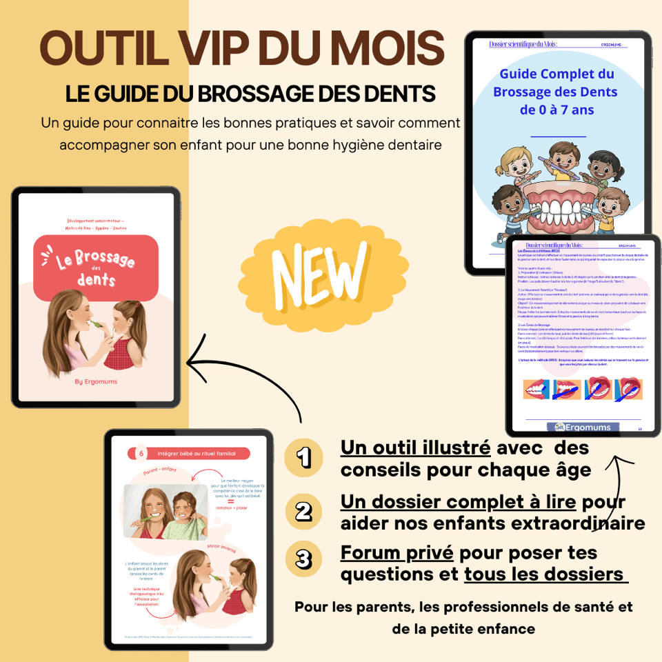 Outil VIP du mois de décembre 2025